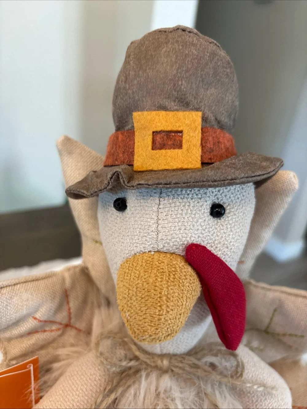Martha Stewart Thanksgiving Turkey WITH PUMPKIN 11.5 x 11 inches NWT
